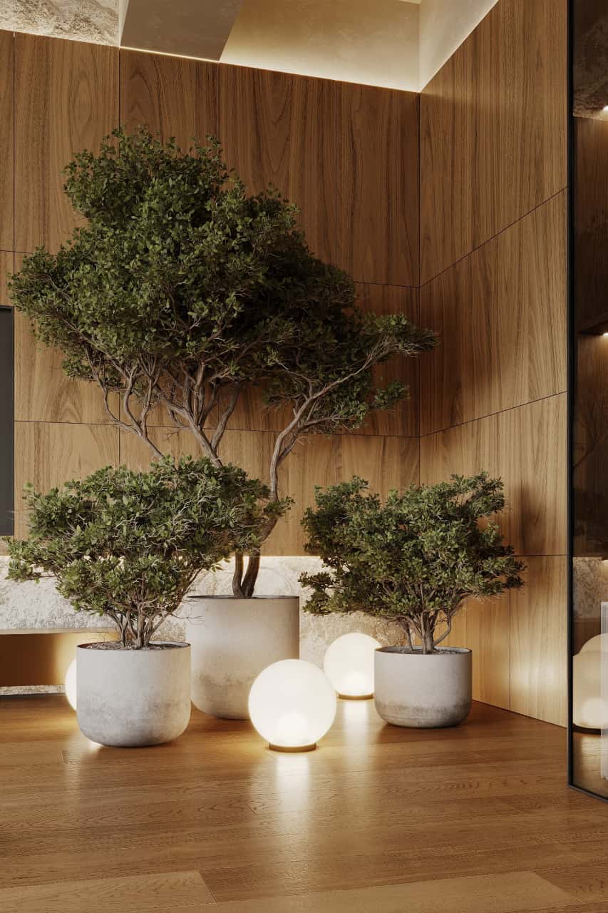 Дерево как декор