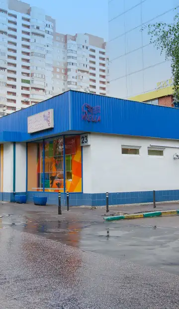 Дизайн и ремонт офиса «Вира-АртСтрой» в стиле эклектика. Фасад, фото 2
