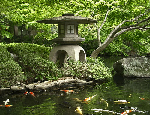 Ни один японский сад не обходится без пруда и красных декоративных карпов в нем