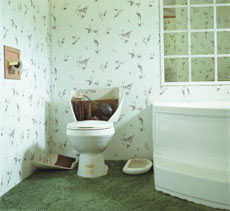 Современная ванная и туалет - совместимы ли?... Фото 02