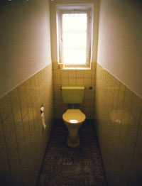 Современная ванная и туалет - совместимы ли?... Фото 03