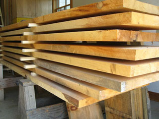 Поражение древесины и материалы для защиты | Статья от Вира-АртСтрой. Фото 01