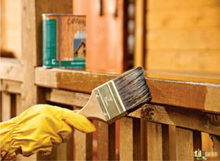 Поражение древесины и материалы для защиты | Статья от Вира-АртСтрой. Фото 03