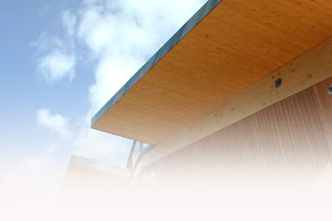 Защита деревянных конструкций | Статья от Вира-АртСтрой. Фото 05