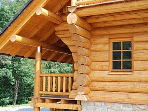 Защитные составы для древесины | Статья от Вира-АртСтрой. Фото 01