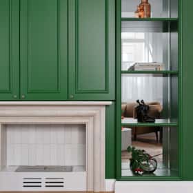 Биокамин выделили с помощью портала из светлого камня