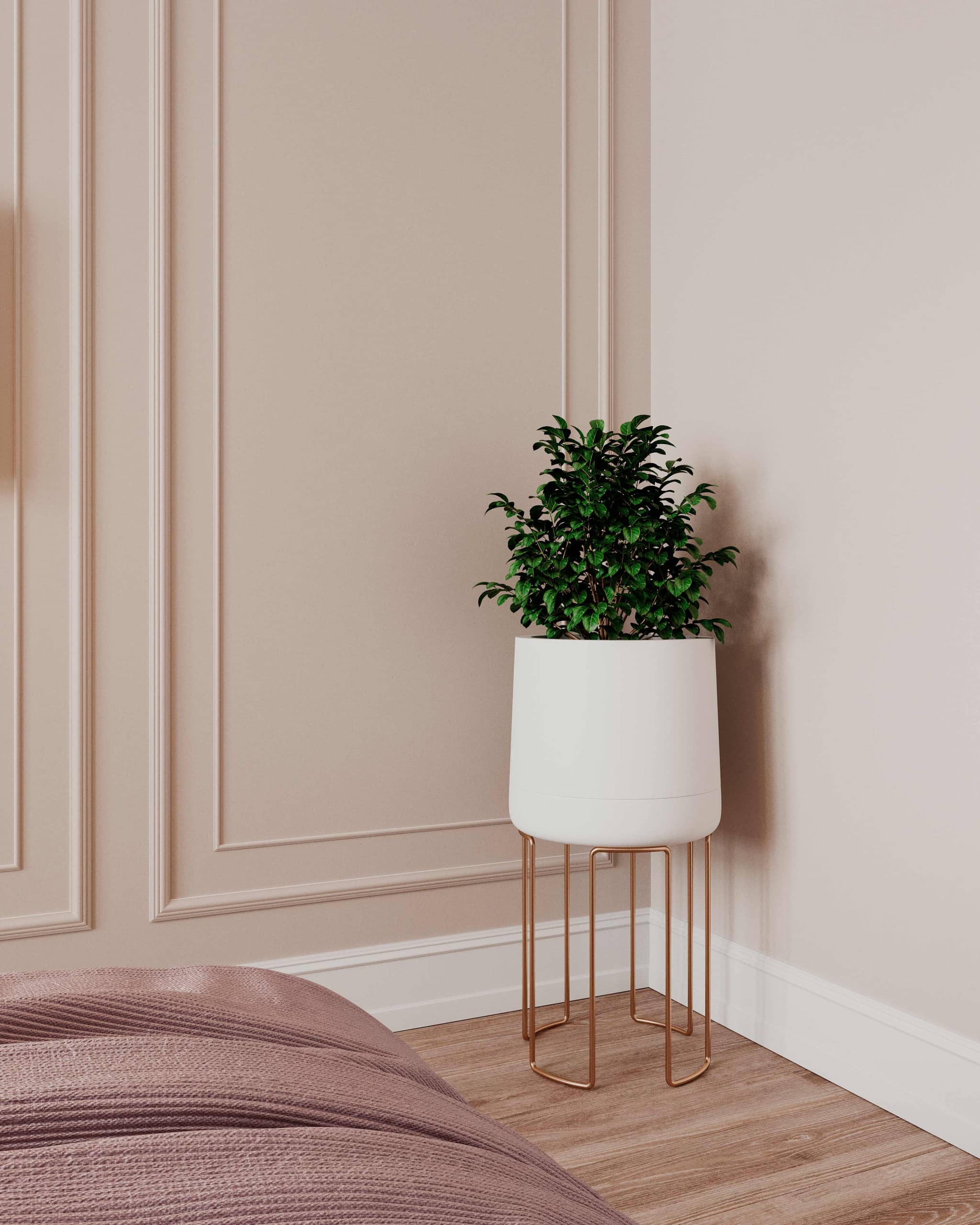 Стильная ваза с растением в углу комнаты