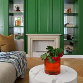 Акцент сделали на биокамине