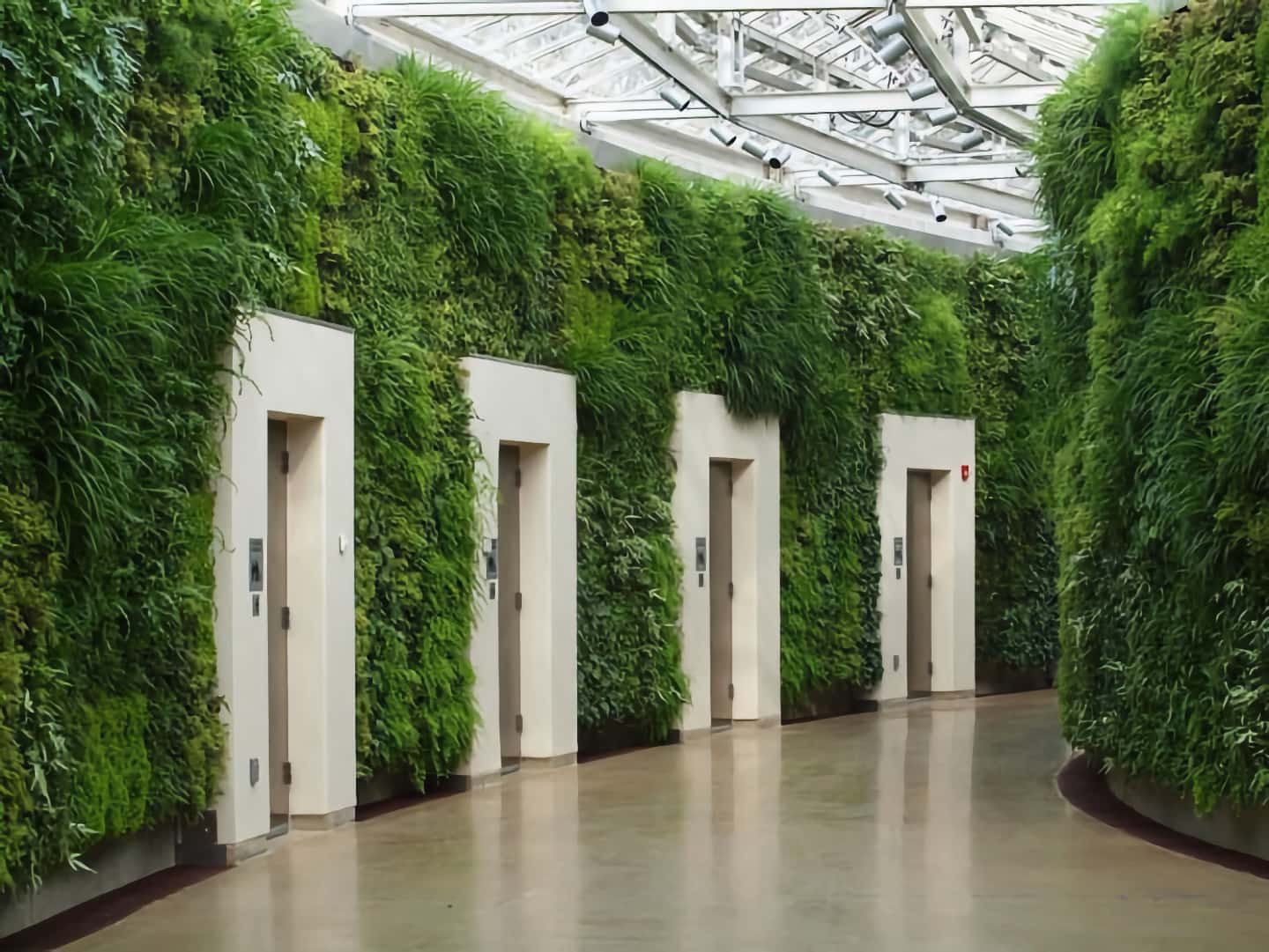 Фитостена в интерьере