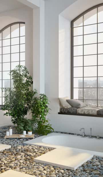 Декоративные деревья и растения для спальни