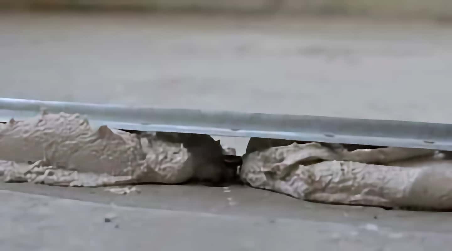Стяжка пола или прочный и ровный пол