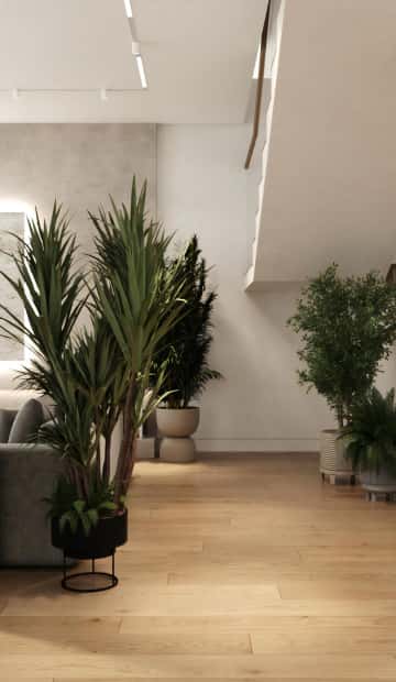 Усилили чувство близости с природой с помощью растений в горшка