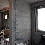 Новости объекта "Шагреневая кожа"