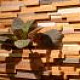 Защитные составы для древесины. Фото 05